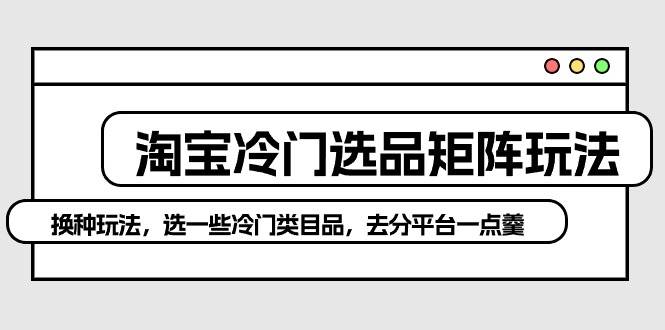 淘宝冷门选品矩阵玩法：换种玩法，选一些冷门类目品，去分平台一点羹网创吧-网创项目资源站-副业项目-创业项目-搞钱项目网创吧