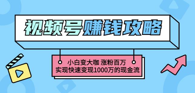 玩转微信视频号赚钱：小白变大咖涨粉百万实现快速变现1000万的现金流网创吧-网创项目资源站-副业项目-创业项目-搞钱项目网创吧