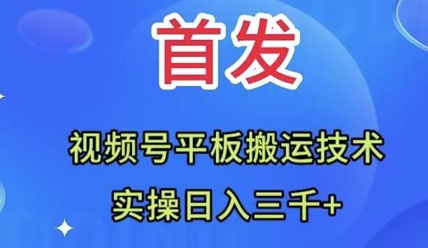 全网首发：视频号平板搬运技术，实操日入三千＋网创吧-网创项目资源站-副业项目-创业项目-搞钱项目网创吧