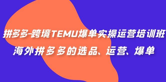 拼多多-跨境TEMU爆单实操运营培训班，海外拼多多的选品、运营、爆单网创吧-网创项目资源站-副业项目-创业项目-搞钱项目网创吧