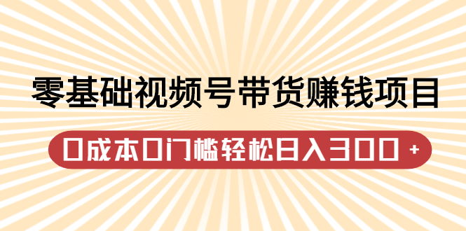 零基础视频号带货赚钱项目，0成本0门槛轻松日入300+【视频教程】网创吧-网创项目资源站-副业项目-创业项目-搞钱项目网创吧