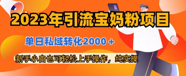 2023年引流宝妈粉项目，单日私域转化2000＋，新手小白也可轻松上手操作，纯实操网创吧-网创项目资源站-副业项目-创业项目-搞钱项目网创吧