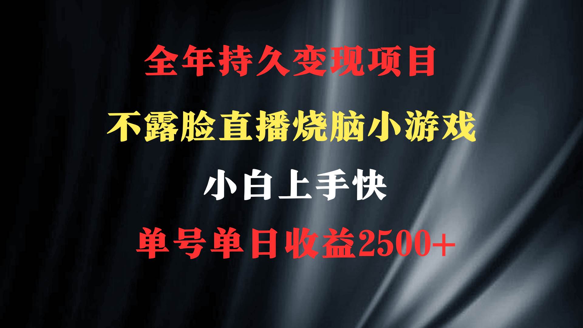 2024年 最优项目，烧脑小游戏不露脸直播  小白上手快 无门槛 一天收益2500+网创吧-网创项目资源站-副业项目-创业项目-搞钱项目网创吧