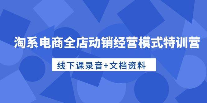 淘系电商全店动销经营模式特训营，线下课录音+文档资料网创吧-网创项目资源站-副业项目-创业项目-搞钱项目网创吧