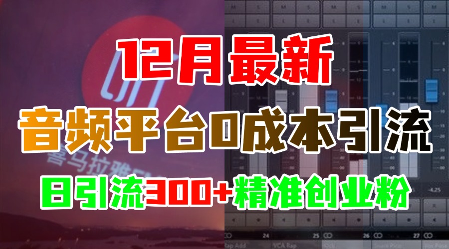 12月最新：音频平台0成本引流，日引300+精准创业粉网创吧-网创项目资源站-副业项目-创业项目-搞钱项目网创吧